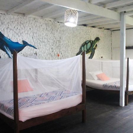Refugio Mr Jerry Eco House Otel Bahia Solano Dış mekan fotoğraf